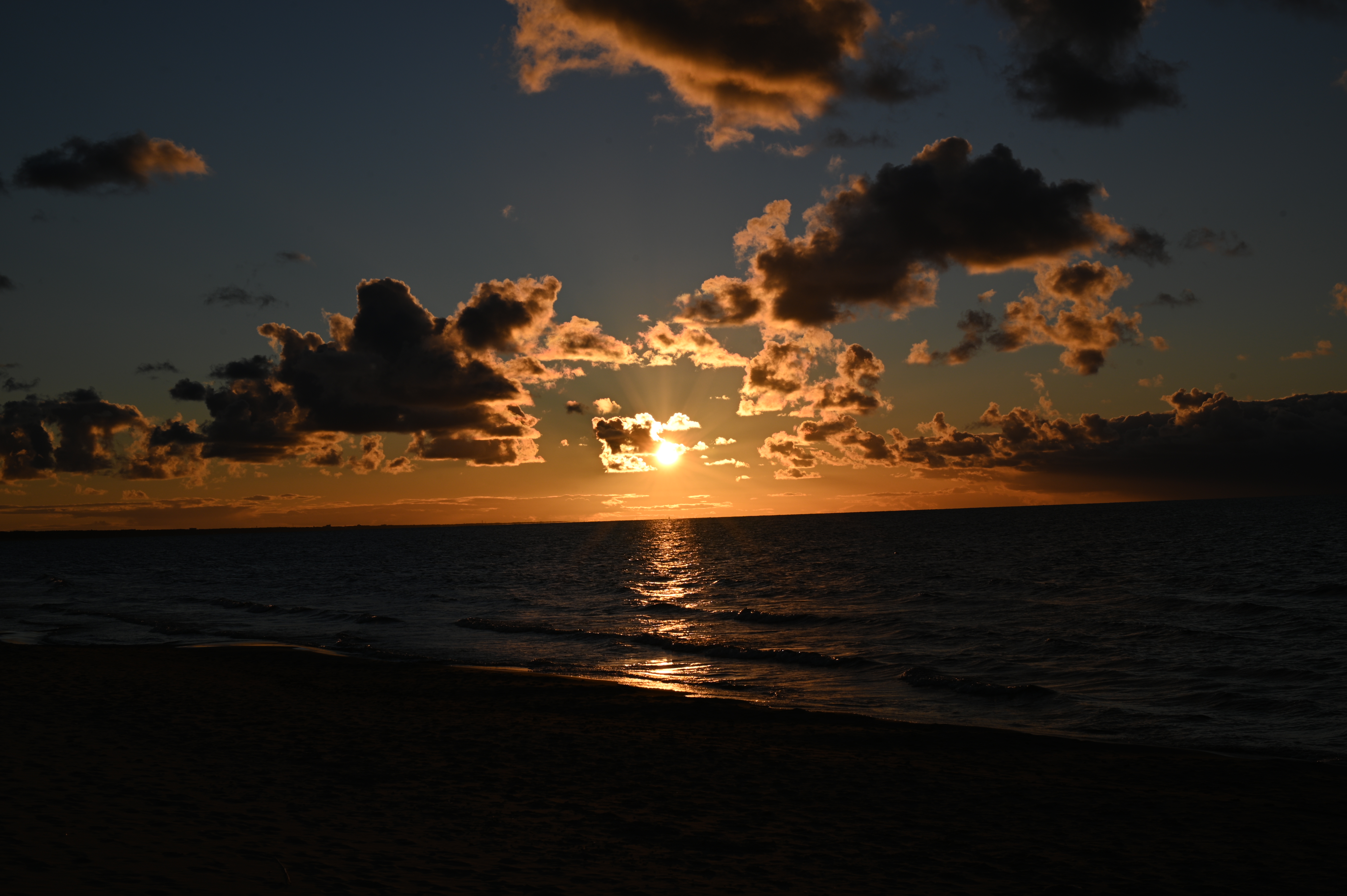 2025/10/18 - walk/DSC_0354.JPG